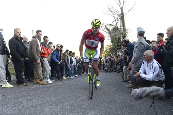 Peter Sagan